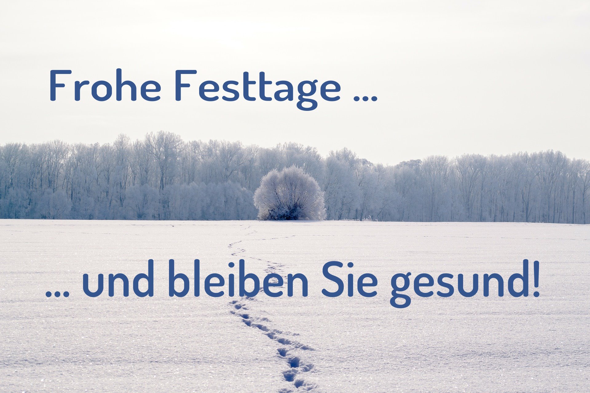 Frohe Festtage und bleiben Sie gesund!
