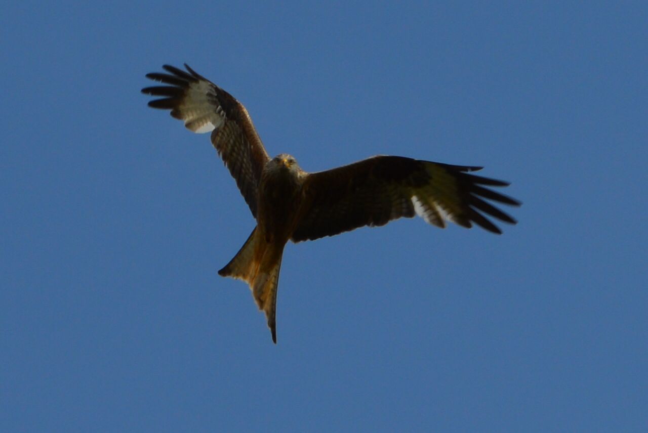 Teamtraining 2016 Volkersberg